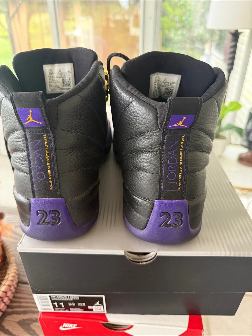 Jordan 12
